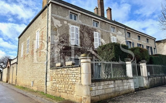 Character property, wine growing village